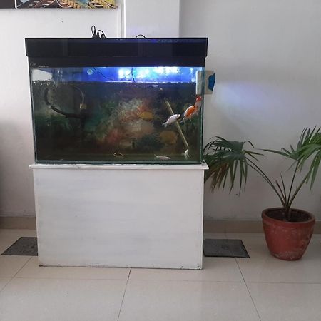 Hotel Lake N Yeti Pokhara Buitenkant foto